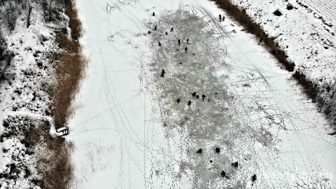 Зимова Вовча