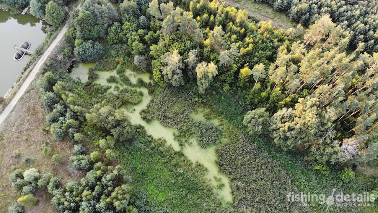 Рибалка в Житомирській області - Річка в лісі