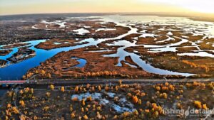 Плавні річки Самара