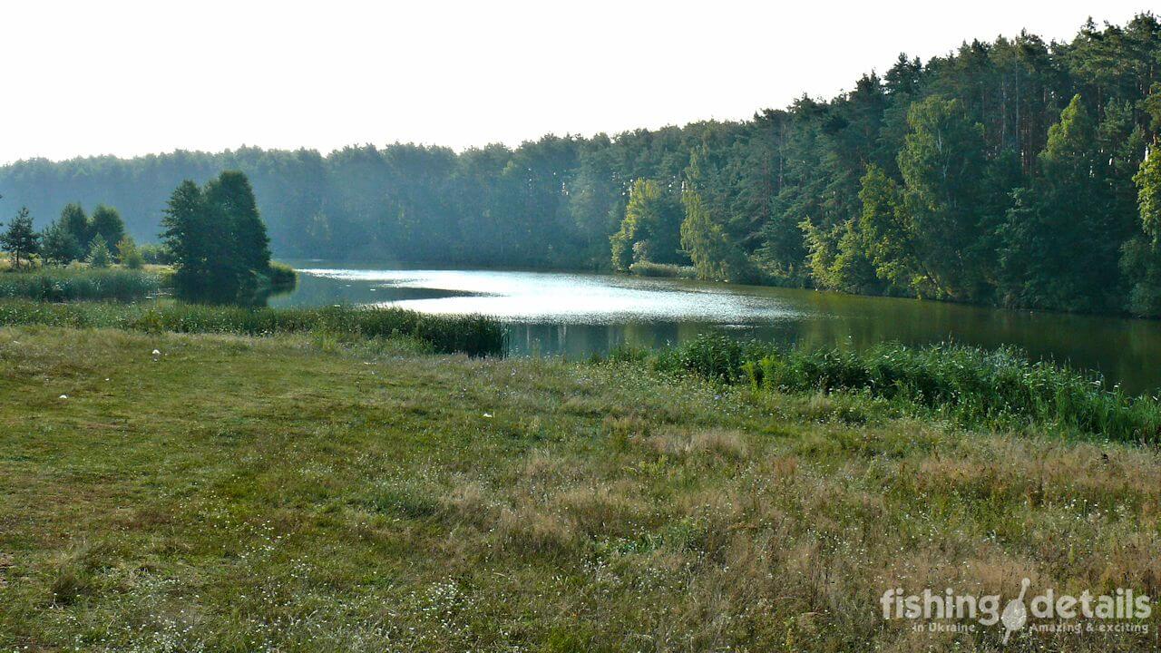 Рибалка в Житомирській області — Річка Бистрянка та ліс