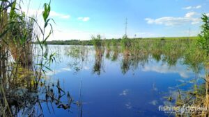 На річці Самара