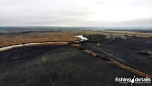 Річка Самара