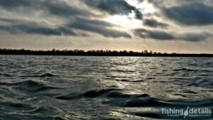 Східний вітер - риболовля під дощем