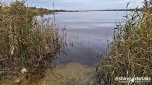 Окуневе місце