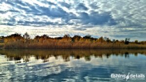 Природні барви на Самарі