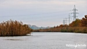 Річка Самара восени