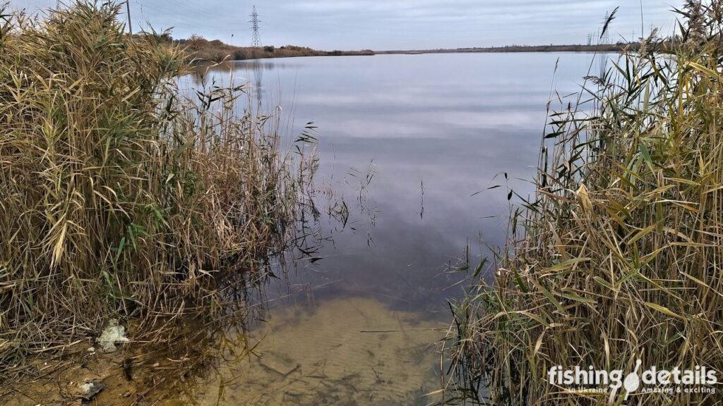 Окуневе місце