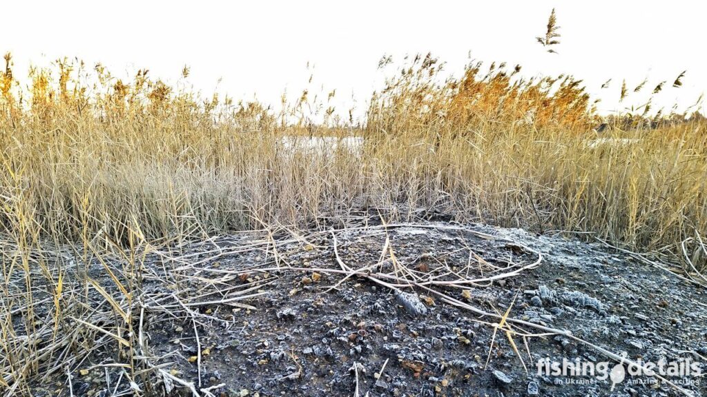 Іній на березі річки