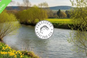 Риболовля в квітні